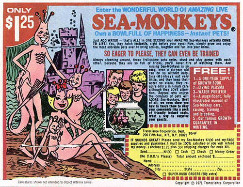 Online Moderation: Engaging with People, Not Sea-Monkeys